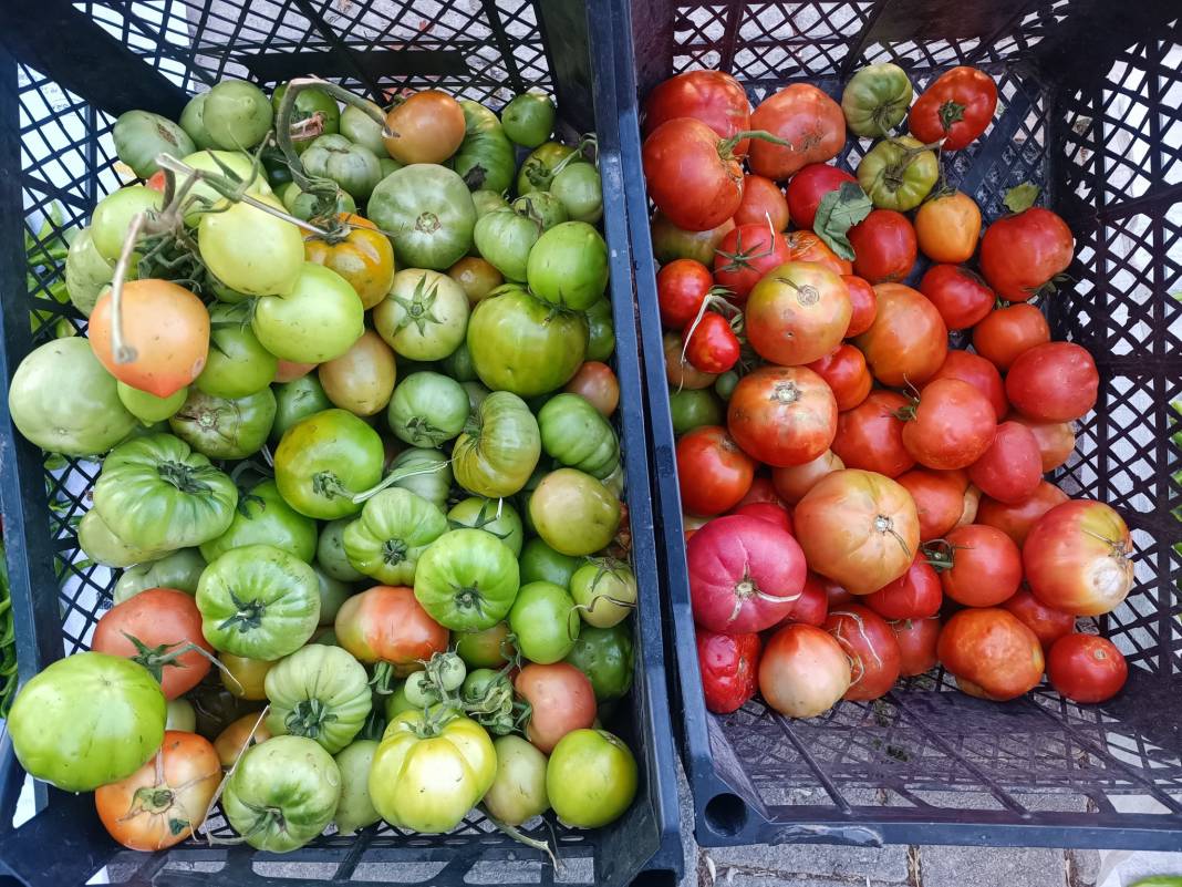 Konya’nın yüzde 100 yerli pazarı 3